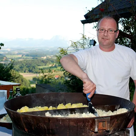 Schlosstaverne Obrist 3* Wolfsegg am Hausruck